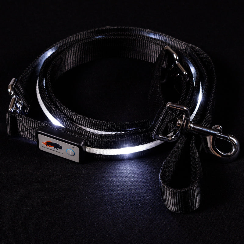 Black LED Dog Leash