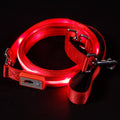 Red LED Dog Leash #color_red