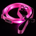 Pink LED Dog Leash #color_pink