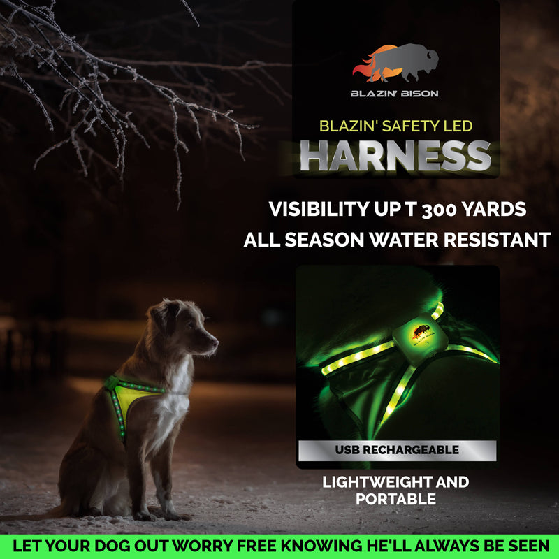 Blazin Safety LED Dog Harness