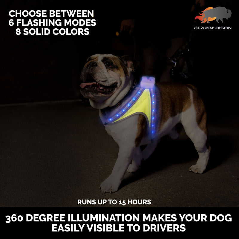 Blazin Safety LED Dog Harness