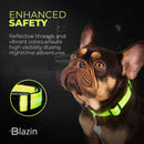 Enhanced Safety Reflective Dog Collar