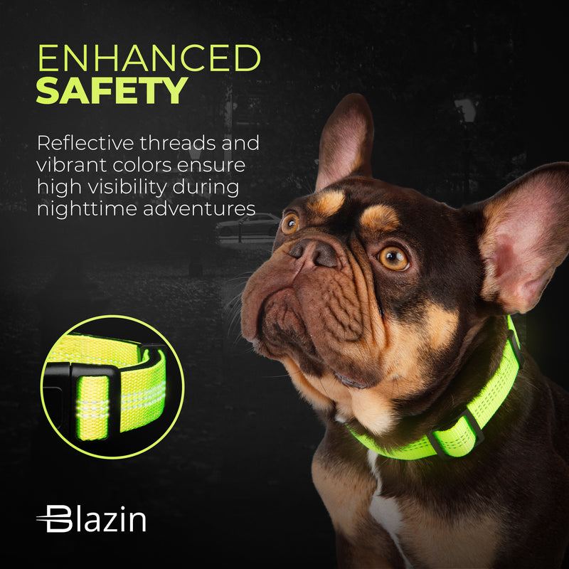 Enhanced Safety Reflective Dog Collar