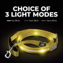 LED Dog Leash