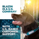 Reflective O-Ring Nylon Collar