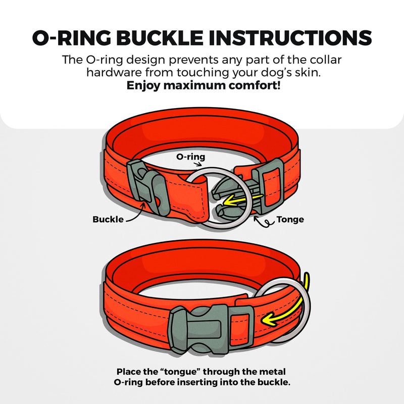 Reflective O-Ring Nylon Collar