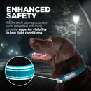 Blazin Reflective Dog Collar