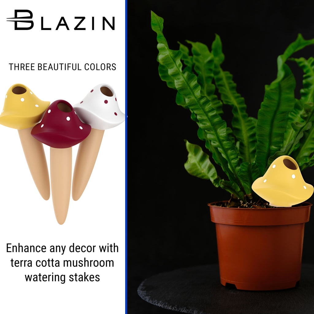 terra indoor plants Terra Cotta Indoor Plant Watering Globes