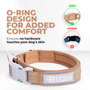 Blazin Reflective Dog Collar