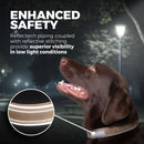 Blazin Reflective Dog Collar