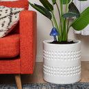 Indoor Plant Watering Globes (Mushroom Shape)