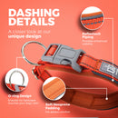 Blazin Reflective Dog Collar