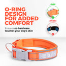 Blazin Reflective Dog Collar