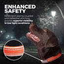 Blazin Reflective Dog Collar