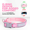 Blazin Reflective Dog Collar
