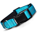 Blazin Reflective Dog Collar #color_blue