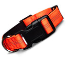 Blazin Reflective Dog Collar