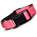Blazin Reflective Dog Collar