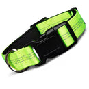 Blazin Reflective Dog Collar