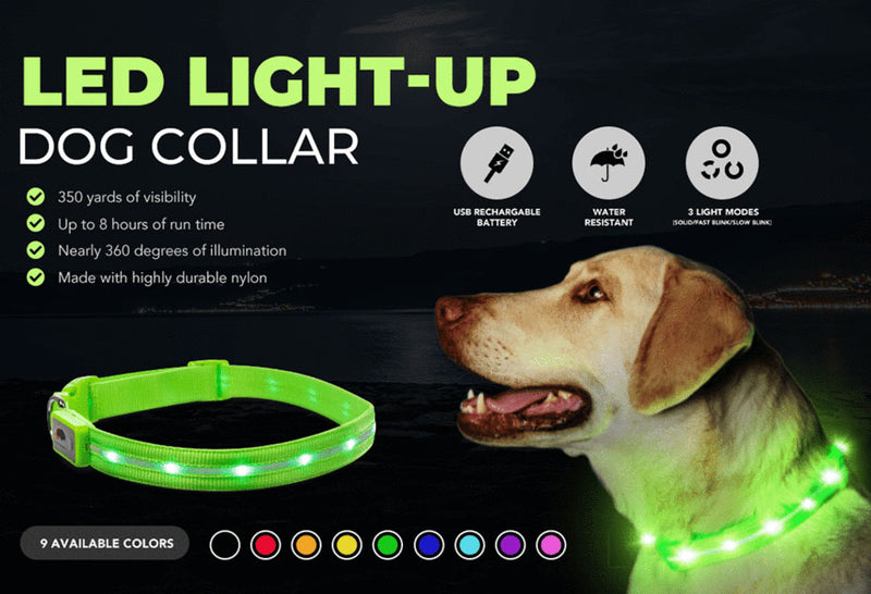 LED Light Up Dog Collars