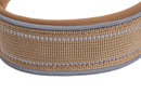 Blazin Reflective Dog Collar