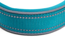 Blazin Reflective Dog Collar