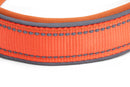 Blazin Reflective Dog Collar