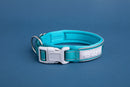 Blazin Reflective Dog Collar
