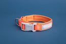 Blazin Reflective Dog Collar