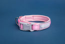Blazin Reflective Dog Collar