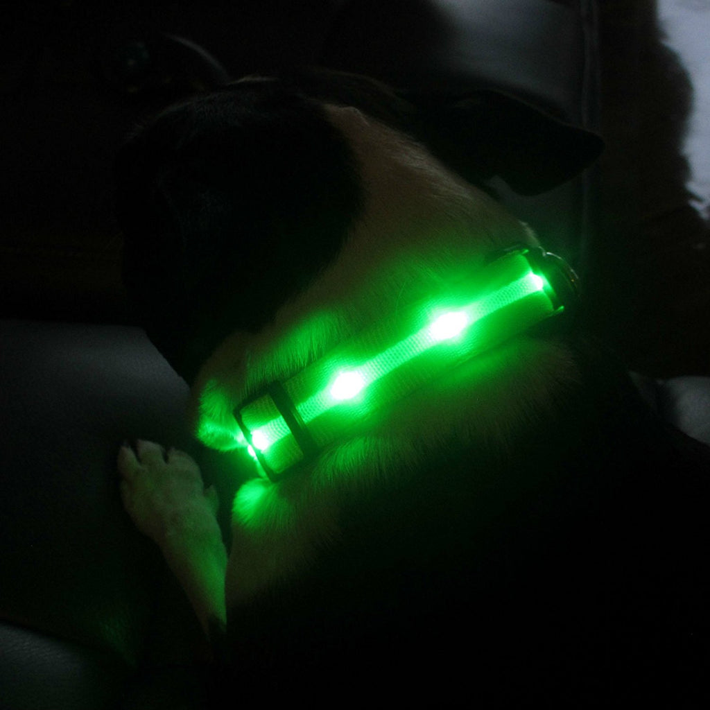Blazin Safety LED Dog Collar