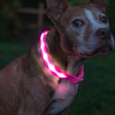Pink LED Dog Collar