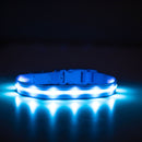 Light Blue LED Dog Collar