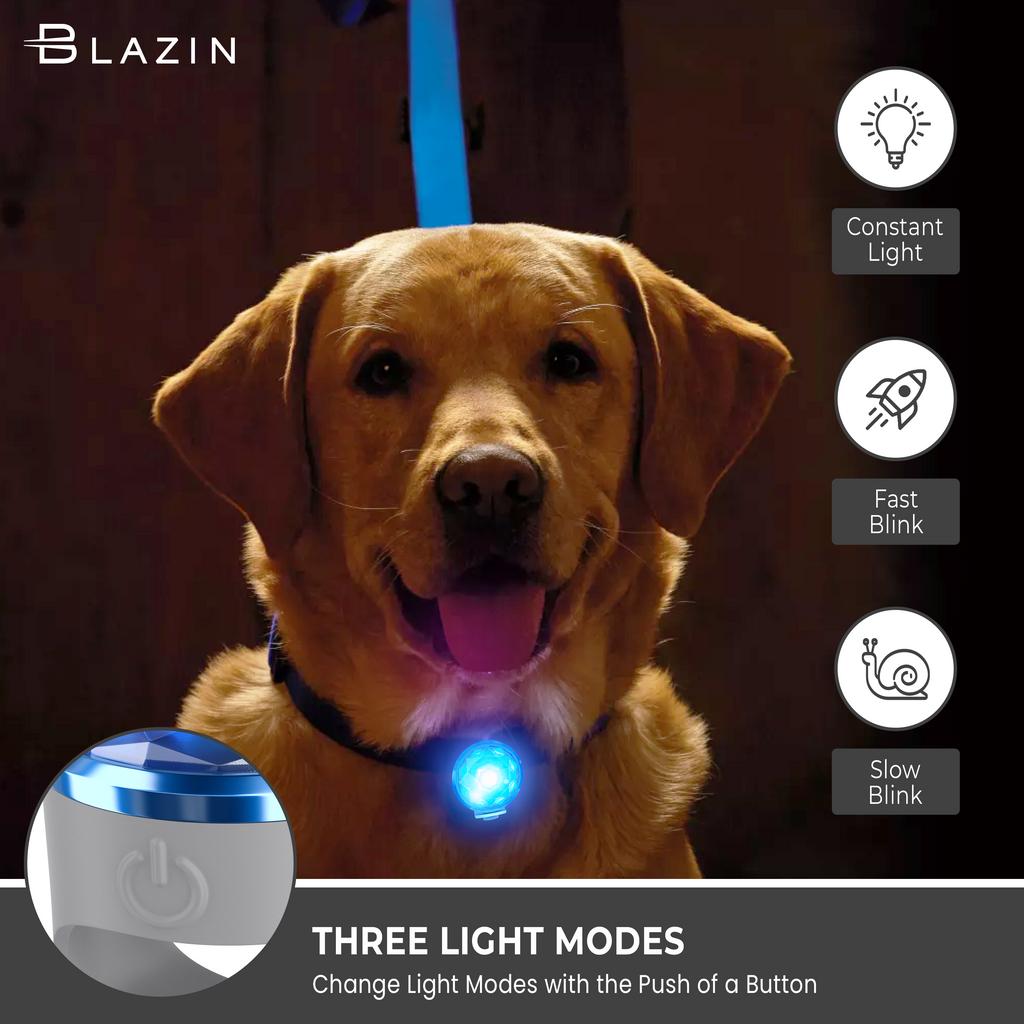 Blazin Safety LED Dog Collar Light