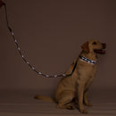 Black LED Dog Leash