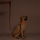Red LED Dog Leash