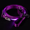 Purple LED Dog Leash #color_purple