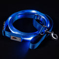 Blue LED Dog Leash #color_blue