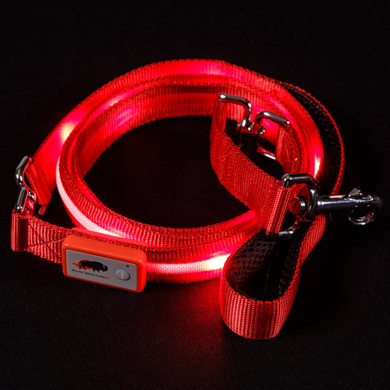 Red LED Dog Leash