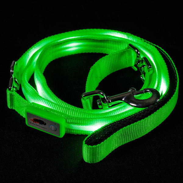 Green LED Dog Leash #color_green