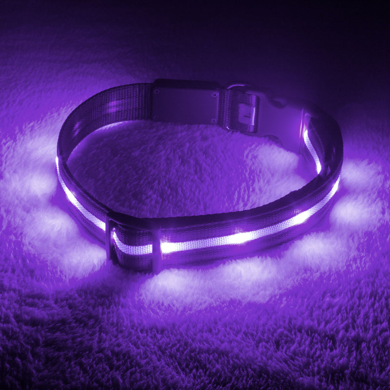 Lavender LED Dog Collar