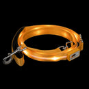 Orange LED Dog Leash