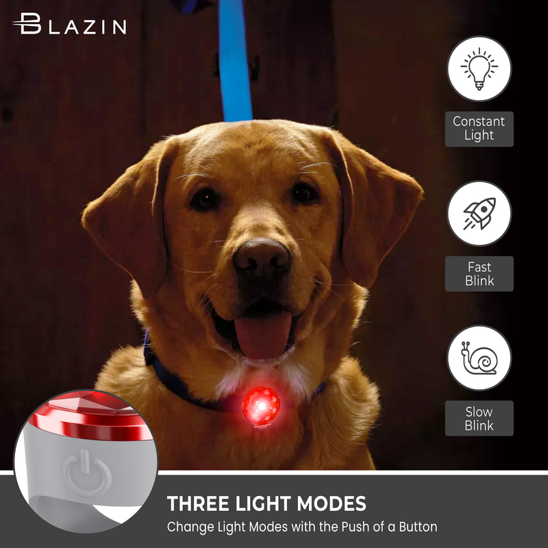 Blazin Safety LED Pet Light