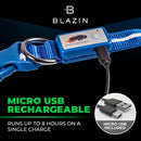 Blue LED Dog Collar
