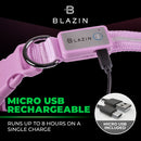 Lavender LED Dog Collar