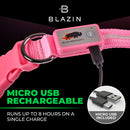 Pink LED Dog Collar