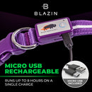 Purple LED Dog Collar