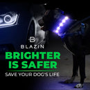 Brightest LED Dog Collars