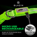 Green LED Dog Collar