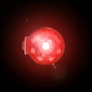 Blazin Safety LED Pet Light